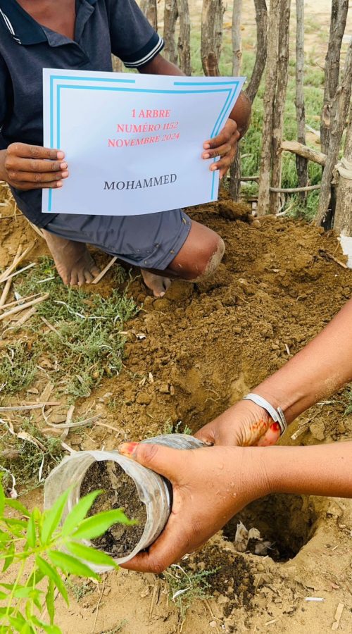 PHOTO-2025-01-18-08-07-33[3]