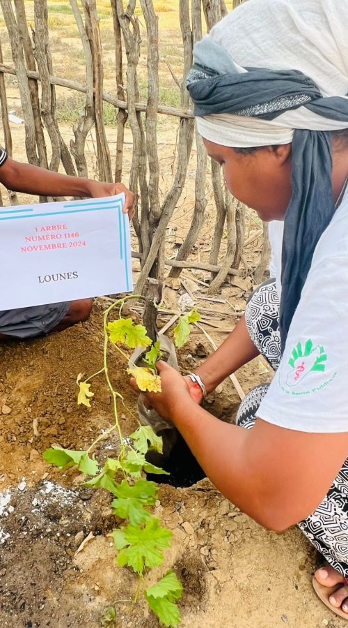 PHOTO-2025-01-18-08-07-33[7]