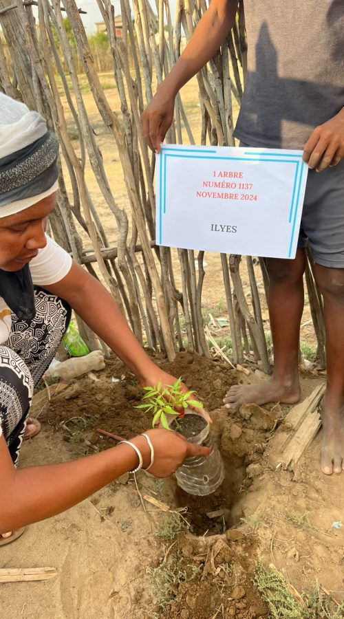 PHOTO-2025-01-18-08-07-34[3]