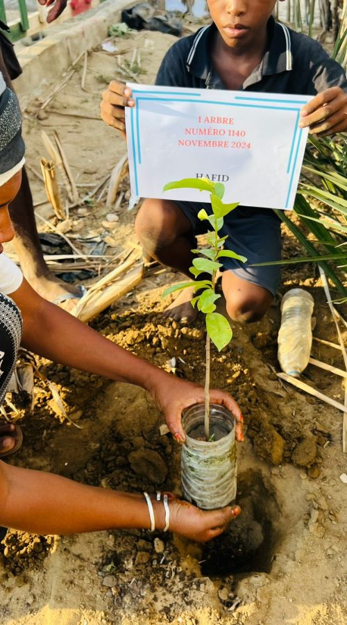 PHOTO-2025-01-18-08-07-34[5]